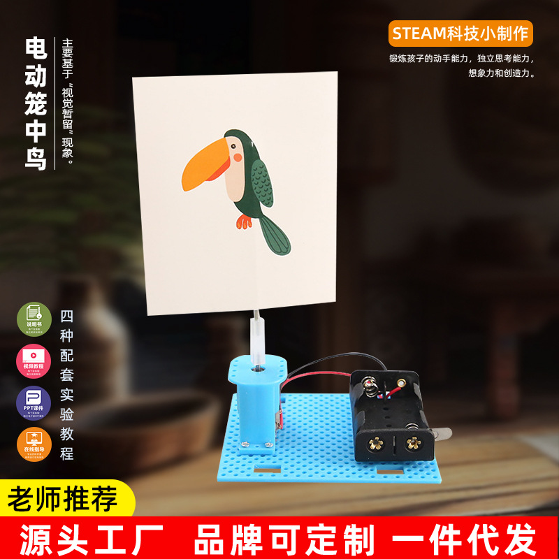 学生diy自制科技小制作视觉停留电动笼中鸟科学实验儿童益智教具