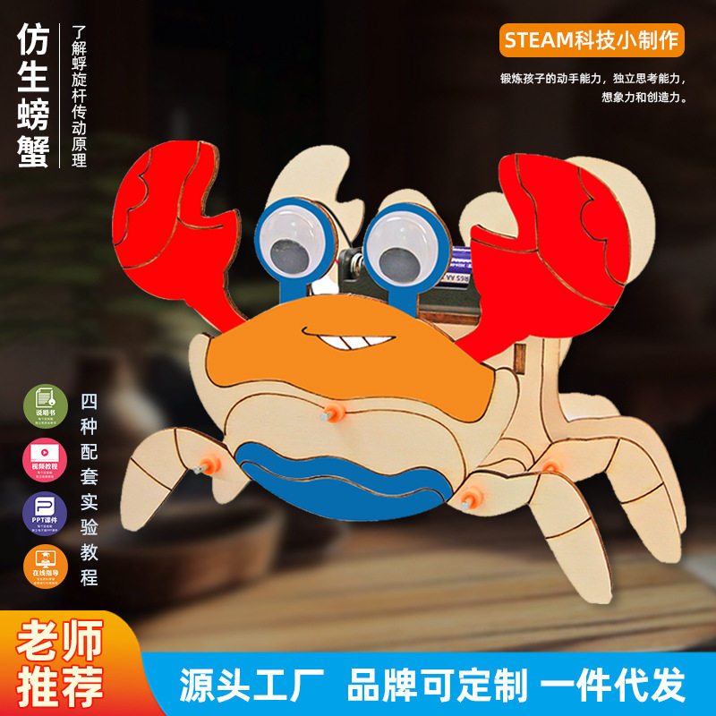 科学实验螃蟹仿生机器人八足儿童DIY手工材料包 科技小制 作