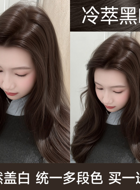 冷萃黑咖染发膏剂免漂植物纯黑茶色官方旗舰店正品自己在家天然女