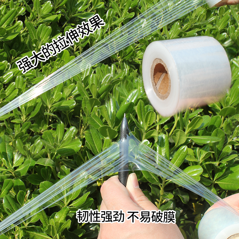 极速小卷pe缠绕膜打包膜保鲜膜工业用果树嫁接膜膜S5cm6外卖封口