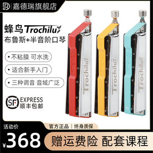 速发J嘉德十蜂鸟孔0孔半音阶口琴布鲁斯瑞1C调高端专业蓝馍馍