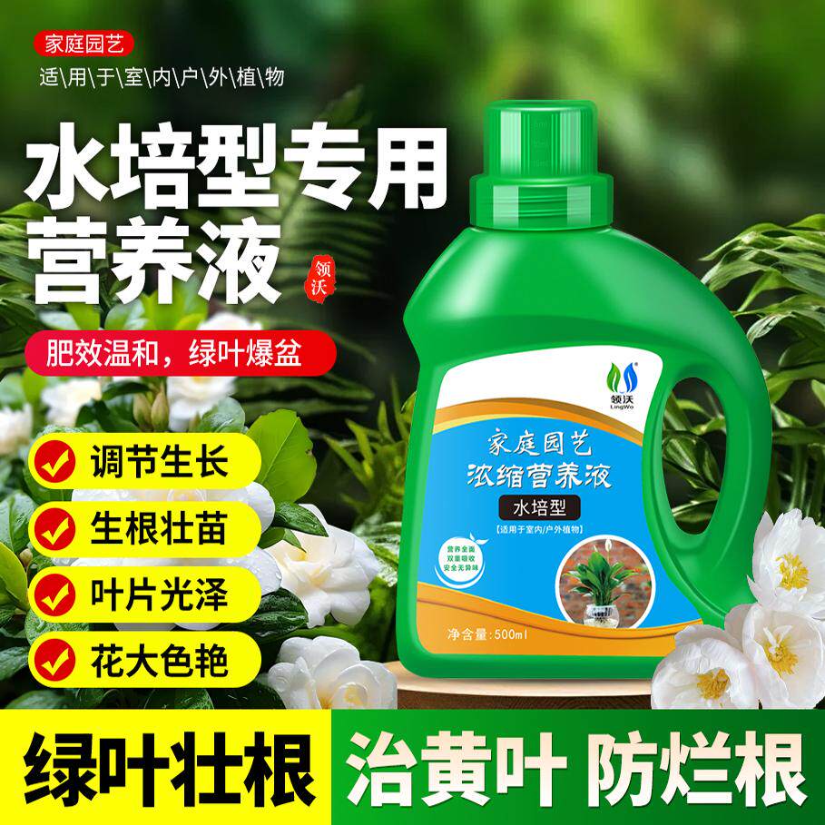 速发水培营养液通用型绿萝富贵竹铜钱草龟背水水培养绿用专植花卉