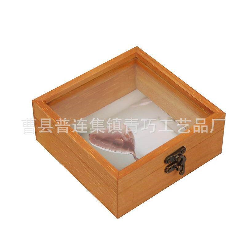 速发木头盒子玻璃透明盖动物标本收藏盒松木制礼品盒节日喜铺小木