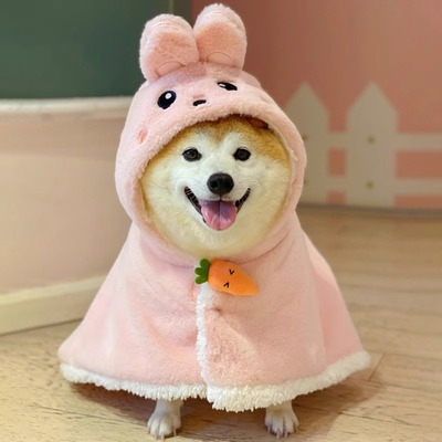 速发睡风披袍兔子装秋冬款保暖加厚毯柯中小型犬子基柴犬睡衣