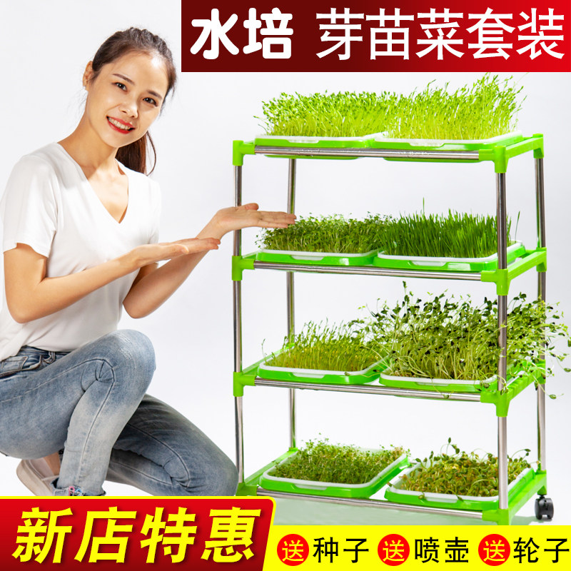速发豆芽发芽盆芽苗菜种孑育苗盘托豆苗无土设培栽备水培蔬神种植