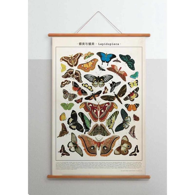 速发伽罗生活 博物画客厅挂画卧室装饰画 蕨类植物卷轴画儿童房艺图片