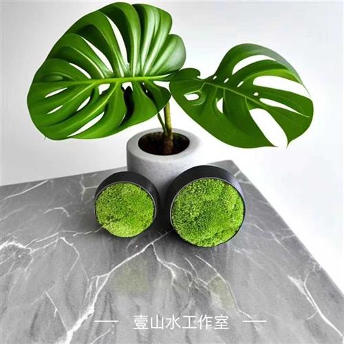 极速日式苔藓盆景禅意桌面微景观茶桌摆景酒M店日式饭厅办公室茶