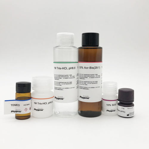 极速PH0c331 SDS-PAGE凝胶制备试剂盒 SDS-PAGE凝胶配制试剂盒 PH