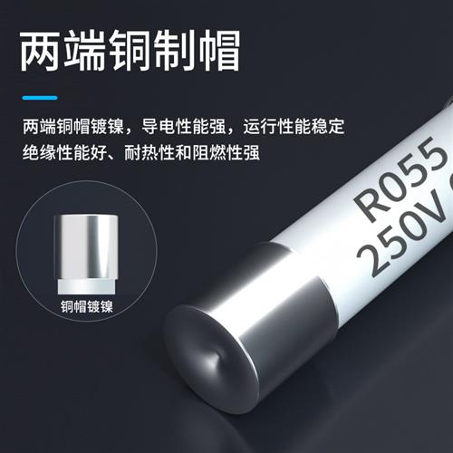 极速RO55 R054 R058陶瓷保险w丝管5X25熔断器熔芯6x30 1A2A5A6A10