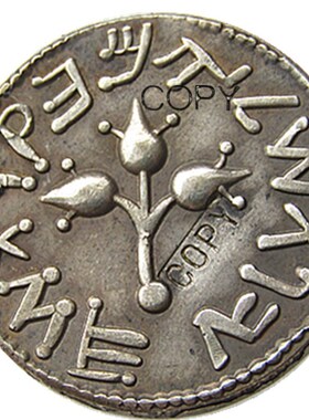 极速RM(32) Ancient 1st JEWISH Great Revolt NWar vs Romans 68