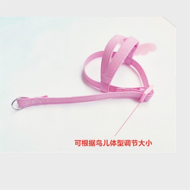 极速鹦鹉放飞绳遛鸟神器玄风外出抱婴袋I飞行绳虎皮牡丹牵引绳训