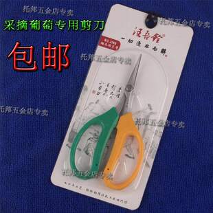 极速水果店葡萄串夏黑巨峰w葡萄串成熟修剪枝头采摘专用剪刀
