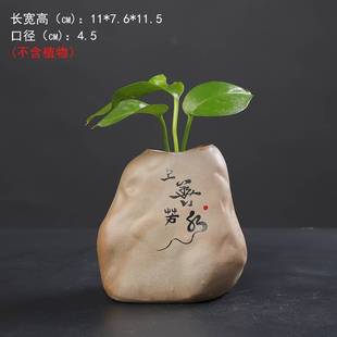 极速佛系花瓶摆件客厅插花桌面中式 粗陶瓷绿萝水R培花器古朴简约