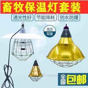 极速。仔猪保温h箱灯育雏鸡苗取暖灯罩可调温度加热小鸡猪养殖带