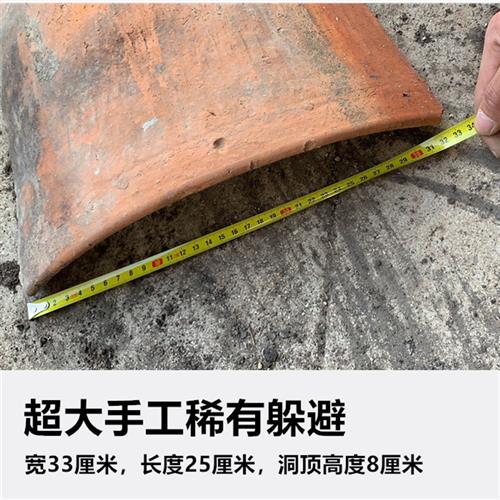 极速新缘友之家 黄缘躲避 乌龟躲避瓦片 安徽P黄缘闭壳龟 黄缘龟