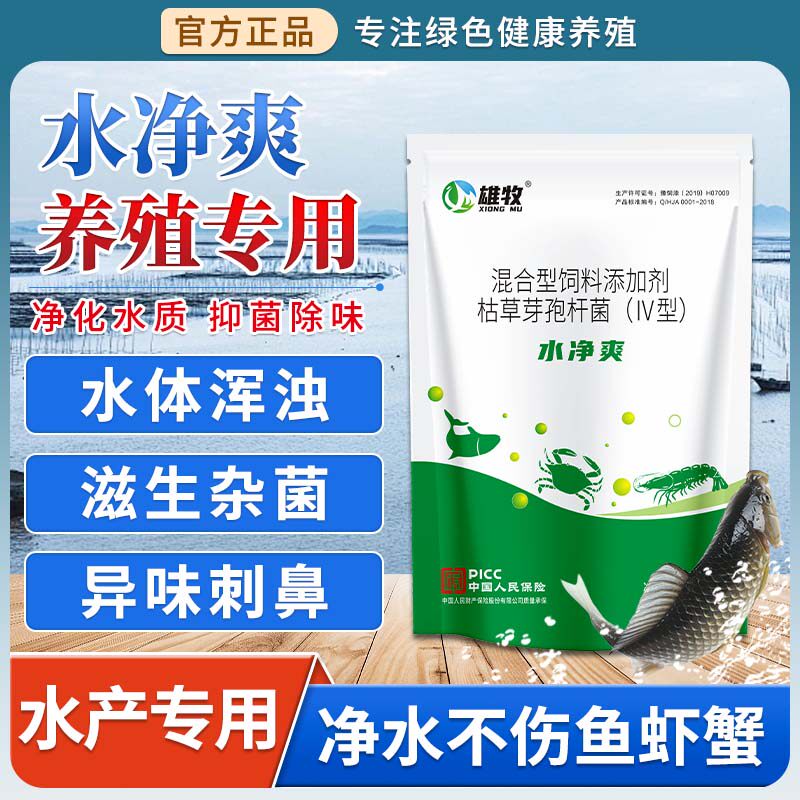 水净爽净化污水泥水沉淀剂泥芽孢杆菌鱼池塘生物变清水产养殖专用