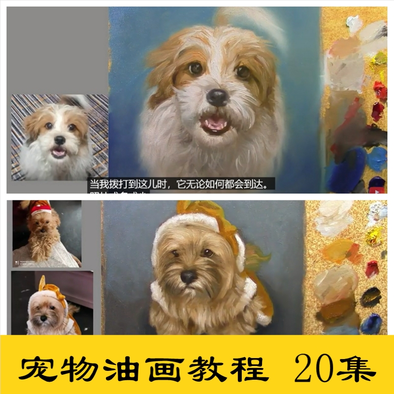 x03宠物油画手绘视频小猫小狗小动物画画完整参考教程临摹素材