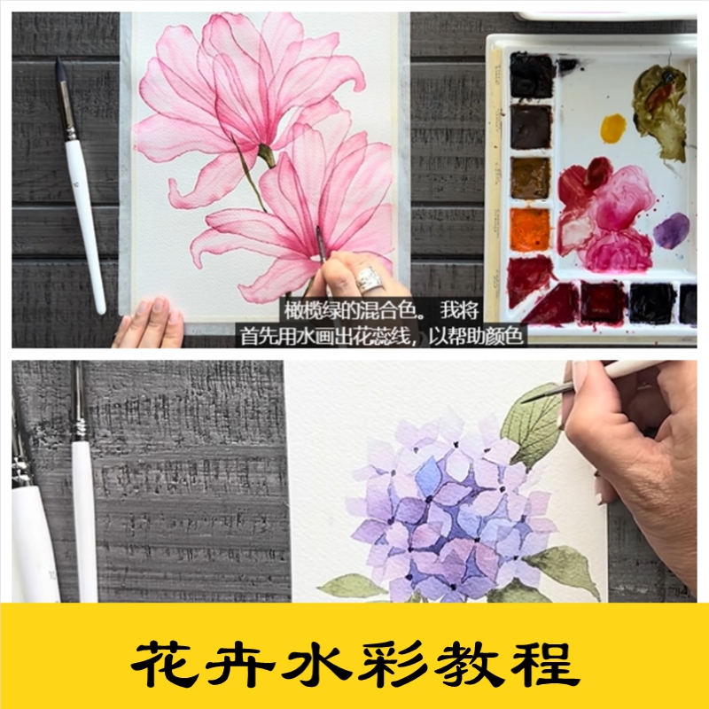 s18简单初学者小清新花卉花朵插画简单视频水彩手绘学习参考
