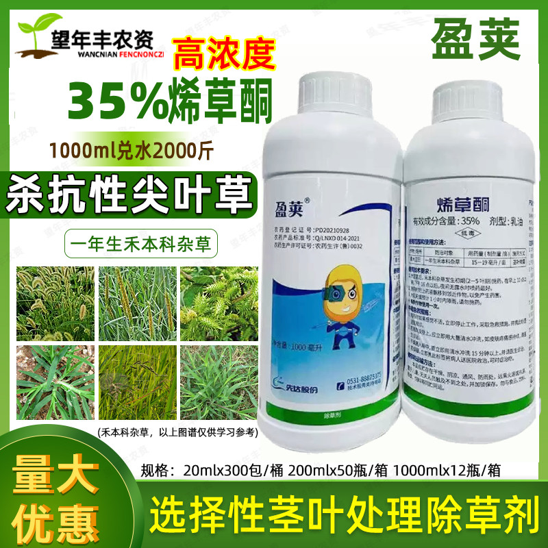 山东先达 盈荚 35%烯草酮 牛筋草芦苇专用药 稀草铜烯草烔除草剂