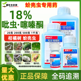 蚧壳虫专用药吡虫噻嗪酮柑橘介壳虫农用杀虫剂杀扑介农药介壳虫