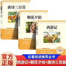 【正版】西游记朝花夕拾唐诗三百首 鲁迅原著初中生七年级上册初中青少年必读的课外书必读名著课外书7年级上册快乐书读书吧
