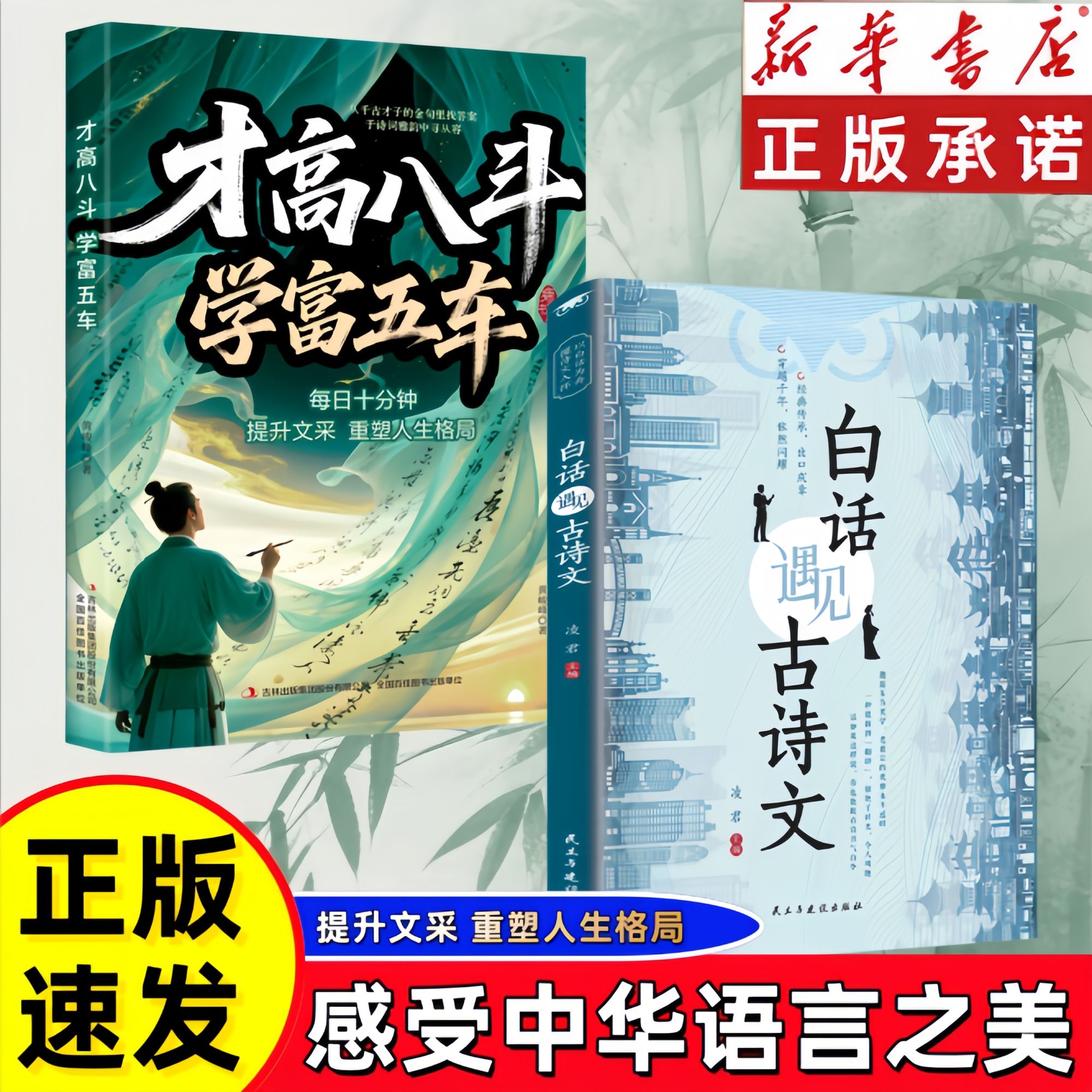 【抖音同款】才高八斗学富五车提升文采重塑人生格局告别词穷尴尬人生格局腹有诗书气自华励志成功书籍写给普通人奋斗指南
