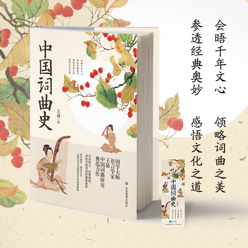 中国词曲史开宗明义追根溯源经典奥妙学生读物