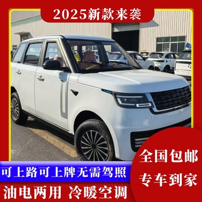 2025款电动车女士小型家用车