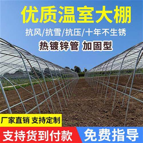 极速新菜温室大棚骨架l椭圆ox管钢大棚养殖猪鸡M抗压防雪镀锌钢管