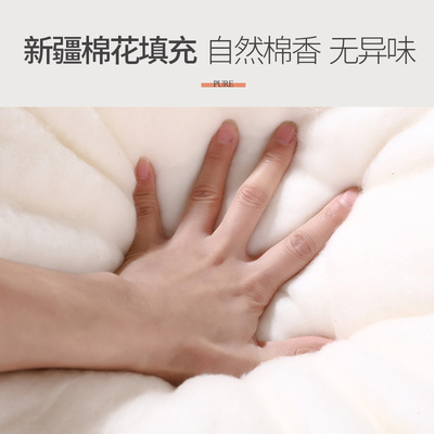 新品新疆棉花散装原棉一级优质长绒E棉棉被被褥被芯填充物手工精