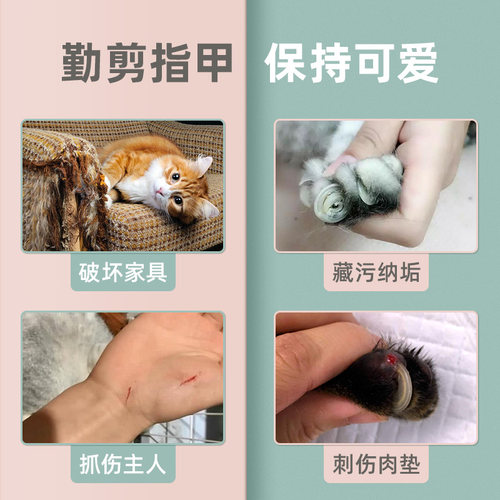 极速猫指甲剪宠物专用剪甲t神器猫咪狗狗兔子指甲刀新手指甲猫爪