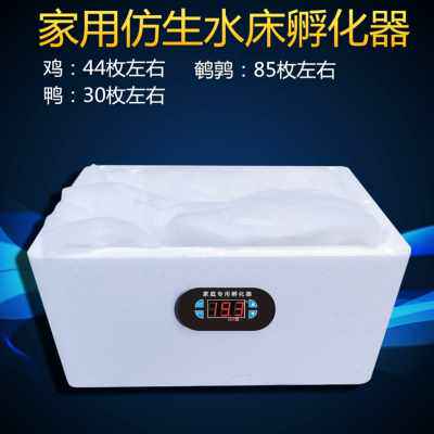 新品厂销水床孵化机家用型鸡鸭鹅孵化器z55枚小O型9M0枚S卵蛋Y箱