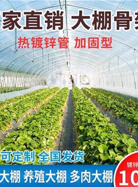 极速新菜温室大棚e骨n架椭圆管钢大棚养殖猪鸡抗压O防雪镀X锌W钢