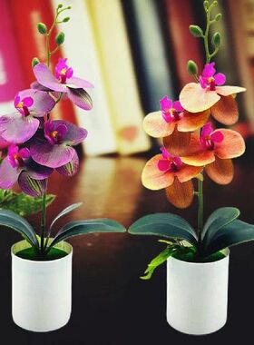 极速Excellent Artifipcial Plant No-watering Artistic Colorfa