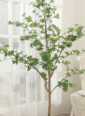 极速仿真植c物马醉木大型吊钟树景观办公室客厅落地装饰绿植盆栽