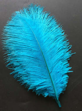 极速10 new products with 15w-20cm colorful ostrich feathers