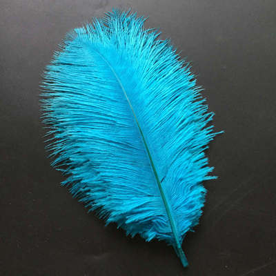 极速10 new products with 15w-20cm colorful ostrich feathers