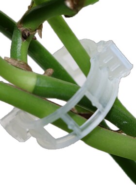 极速Plant Vine Fixingq Clips Agriculture Greenhouse Rattan V