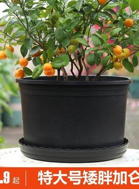 极速特大花盆大口径黑加仑盆栽花盆加厚J黑色矮胖加仑花盆塑料绿