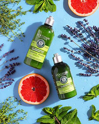 新品LOccitane Aromachologie Nourishing Care ConditiXoner En