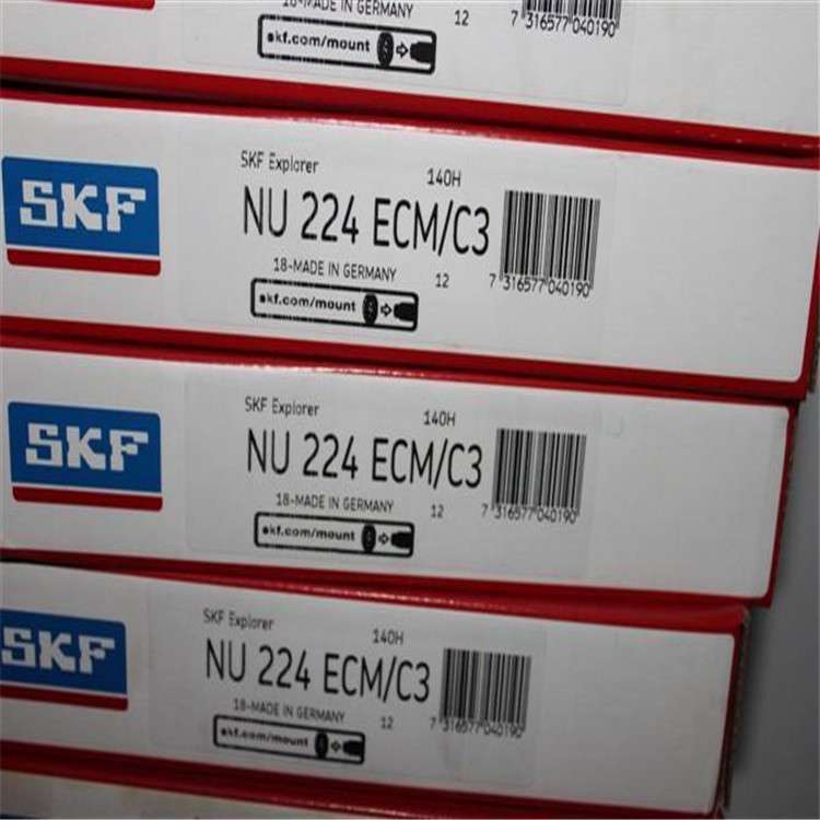 IAN NU224ECM/C3 瑞典轴承 NJ 226 228 230 232 234 236 222 220A