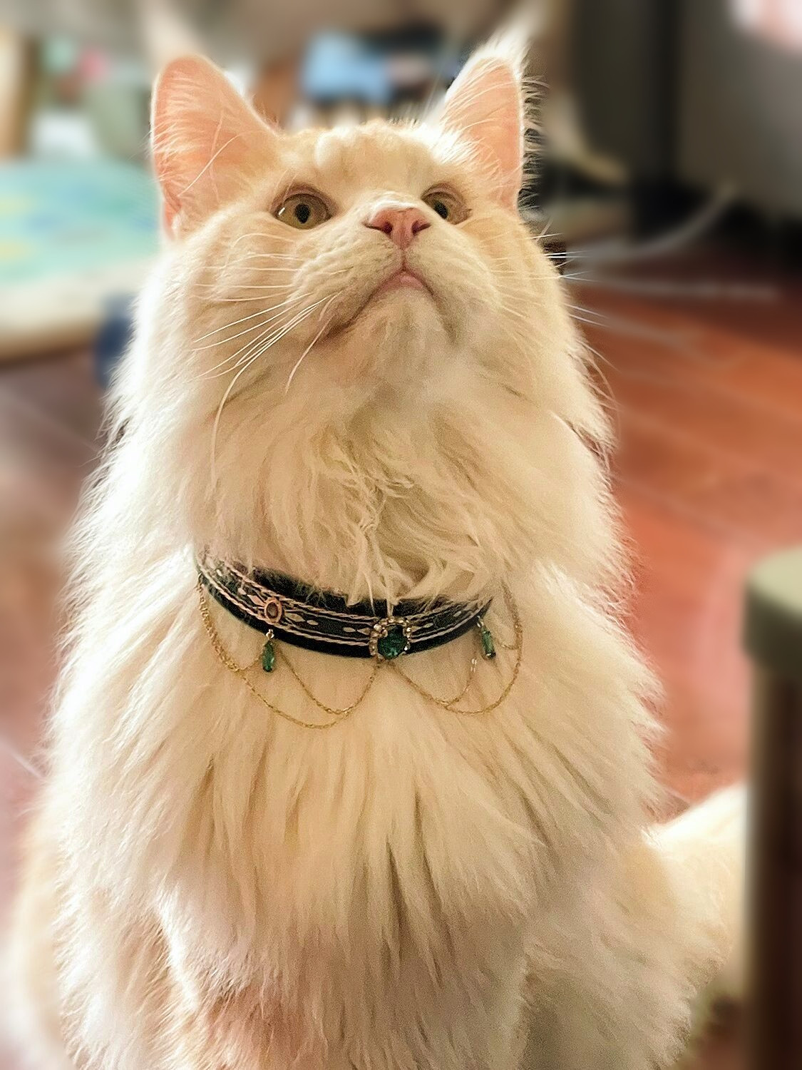 猫咪项圈宠物饰品好看项圈挂饰猫猫脖套埃及阿比猫高贵流苏宝石圈