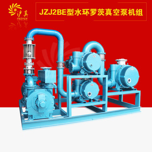 上海JZJ2B水环罗茨真空泵机组JZJS罗茨泵水环式 罗茨水环真空机组
