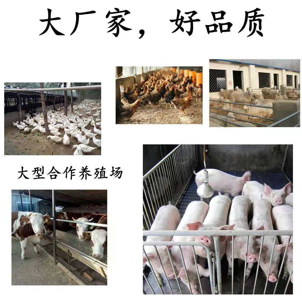 烯酰吗啉供应1kg/袋含量/99烯酰吗啉25公斤/桶CAS110488-70-5