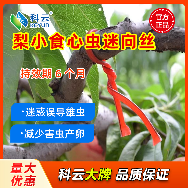 科云迷向丝梨小食心虫监测诱控