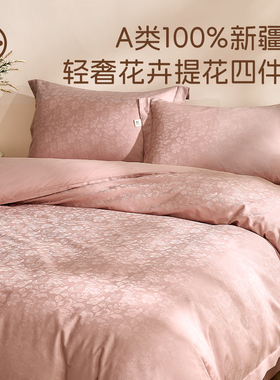 【新品】大朴A类母婴级60支新疆棉大提花四件套EF超柔纯棉四件套