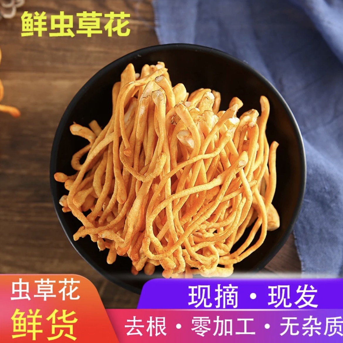 北虫草花鲜货1斤装500g新鲜虫草花采摘菌类煲汤非干货满五件包邮