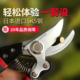 园艺剪刀修枝剪果树枝专用强力弹簧园艺园林家用嫁接盆景剪SK5钢