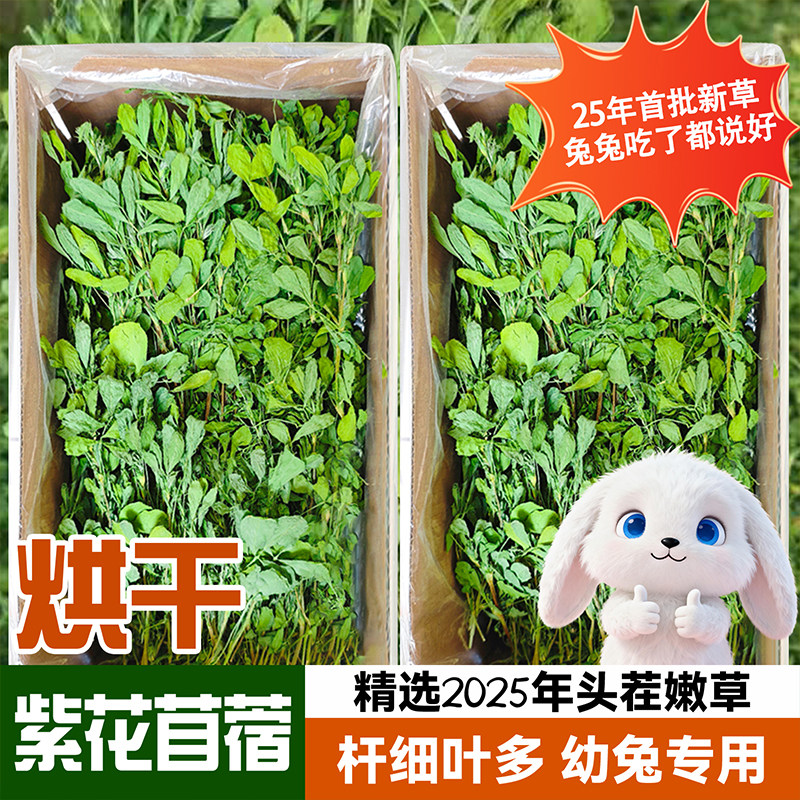 25年烘干紫花苜蓿草幼兔专用牧草龙猫豚鼠荷兰猪粮食兔子食用干草