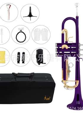 外贸紫色小号降b调西洋乐器易学学生儿童成人金键三音号初学套装